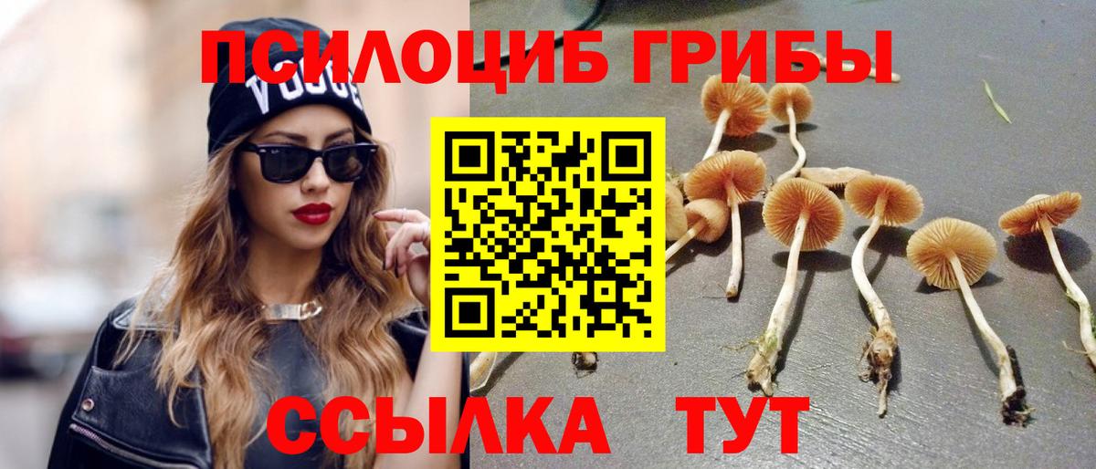 Псилоцибиновые грибы ЛСД  Вход с VPN  Железноводск 